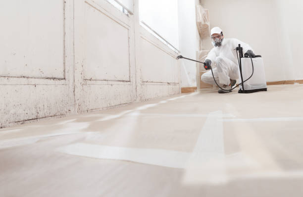 24/7 Emergency Basement Mold Remediation experts in Capitol Heights, MD
